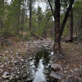 Review photo of Railroad Canyon Campground by Amziah Z., May 18, 2025