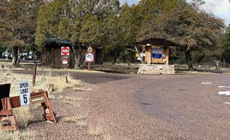 Beth G.'s photo of camping with pets at Railroad Canyon Campground near Mimbres, NM