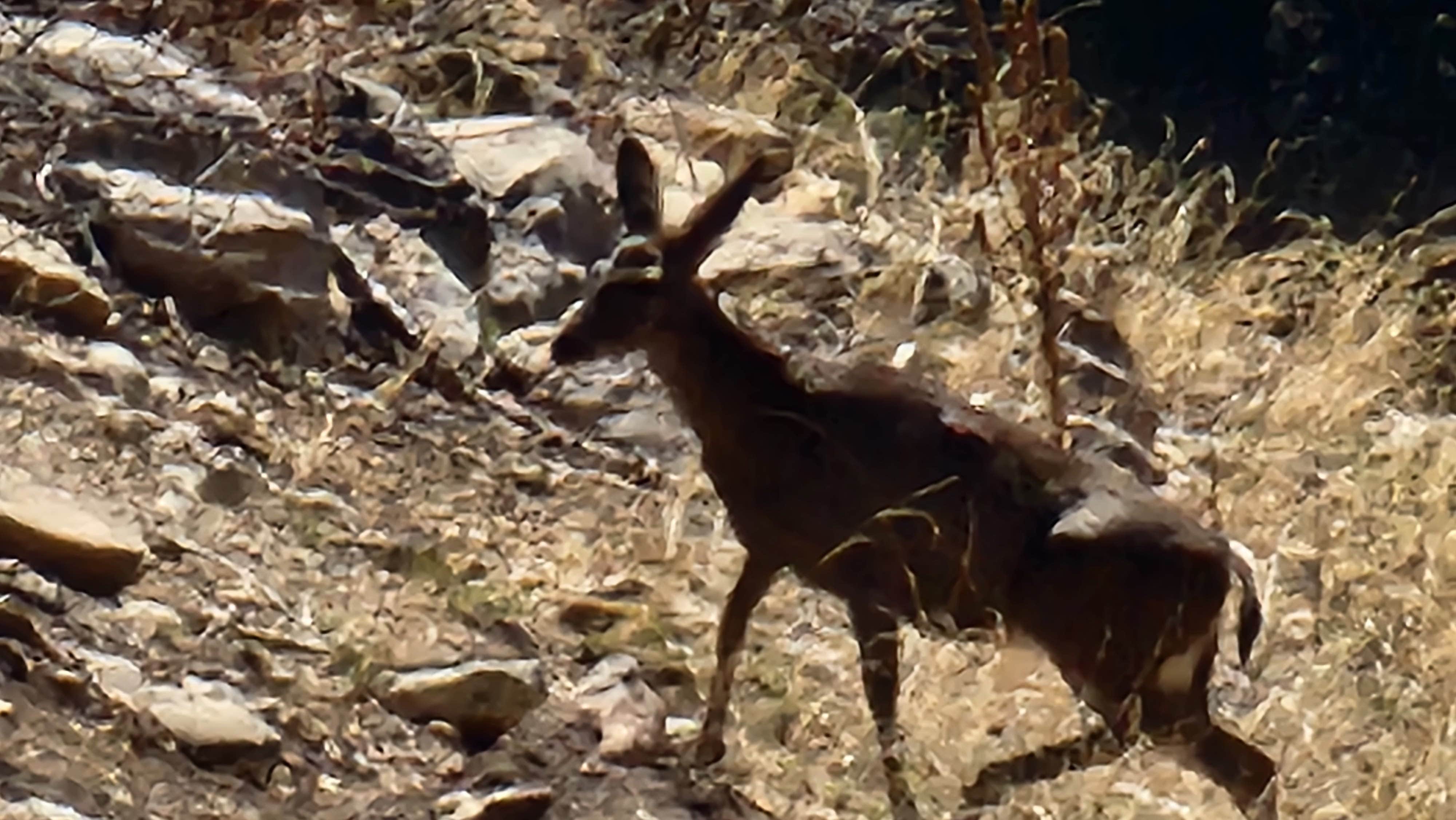 Camper-submitted photo at Red Canyon Campground near Cibola National Forest and Grasslands