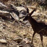 Review photo of Red Canyon Campground by Bob C., April 24, 2025