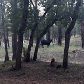 Review photo of Red Cloud Campground by Zoey T., August 14, 2025