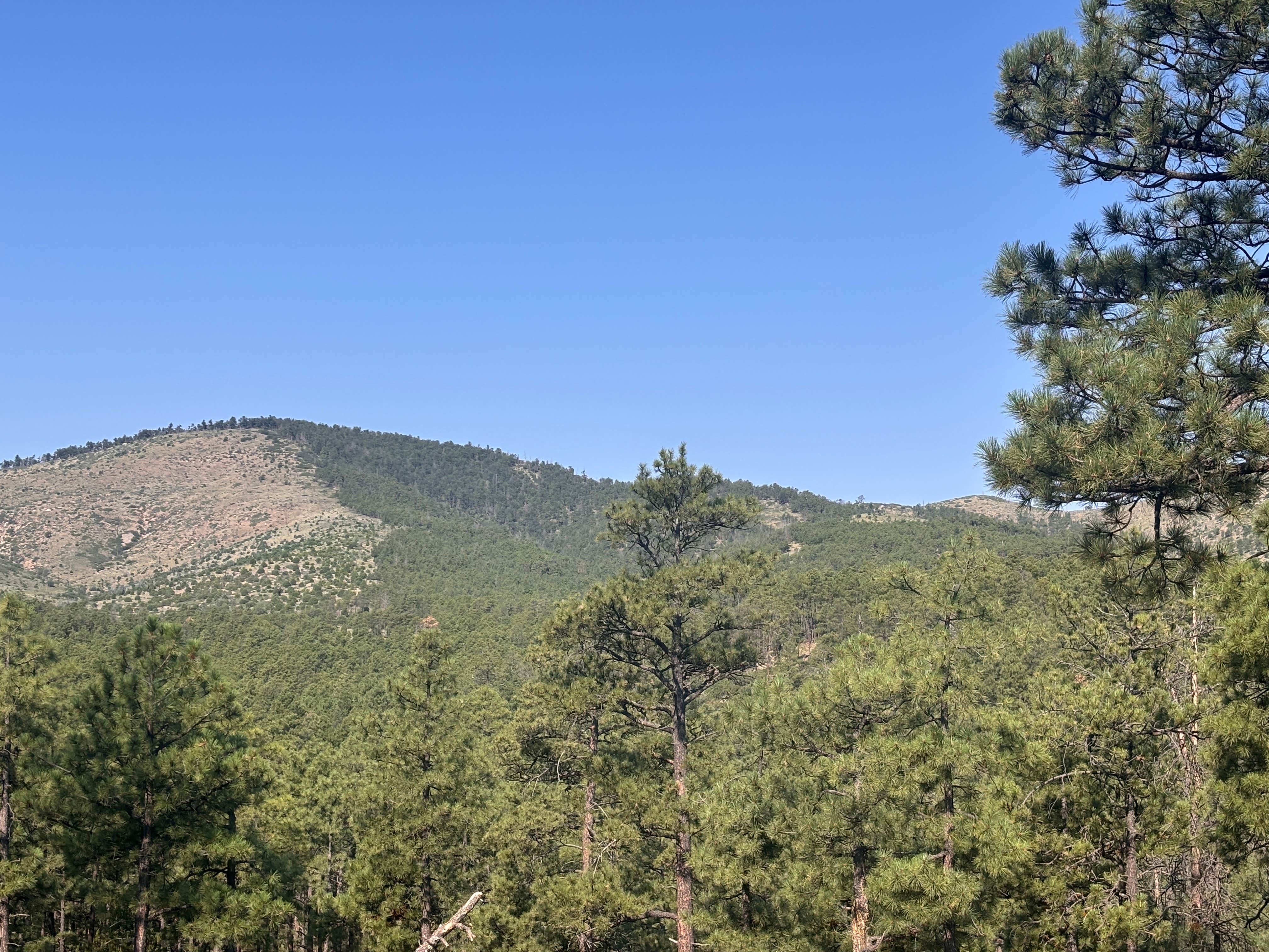 Camper-submitted photo at Red Cloud Campground near Corona, NM