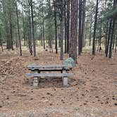 Review photo of Redondo Campground by johny R., April 14, 2026