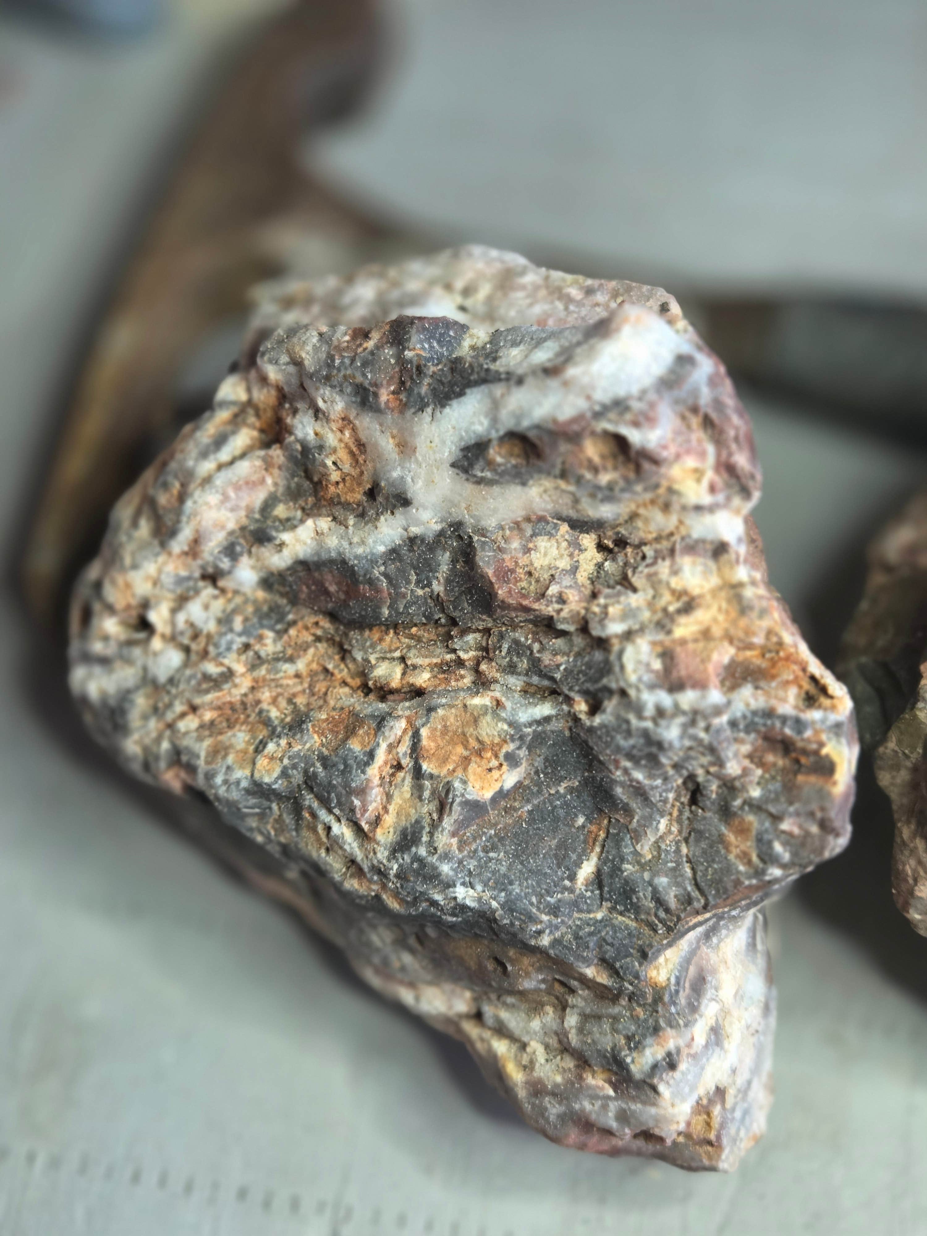 Camper-submitted photo at Rockhound State Park Campground near Deming, NM