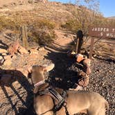 Review photo of Rockhound State Park Campground by Julie F., February 9, 2025