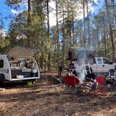 Review photo of Sapillo Dispersed Camping Area by Beth G., September 19, 2023