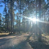 Review photo of Sapillo Dispersed Camping Area by Alisa P., October 28, 2025