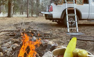 Camping near Rocky Canyon Campground: Sapillo Dispersed Camping Area, Hanover, New Mexico