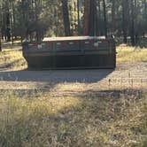 Review photo of Sapillo Dispersed Camping Area by Alisa P., October 28, 2025