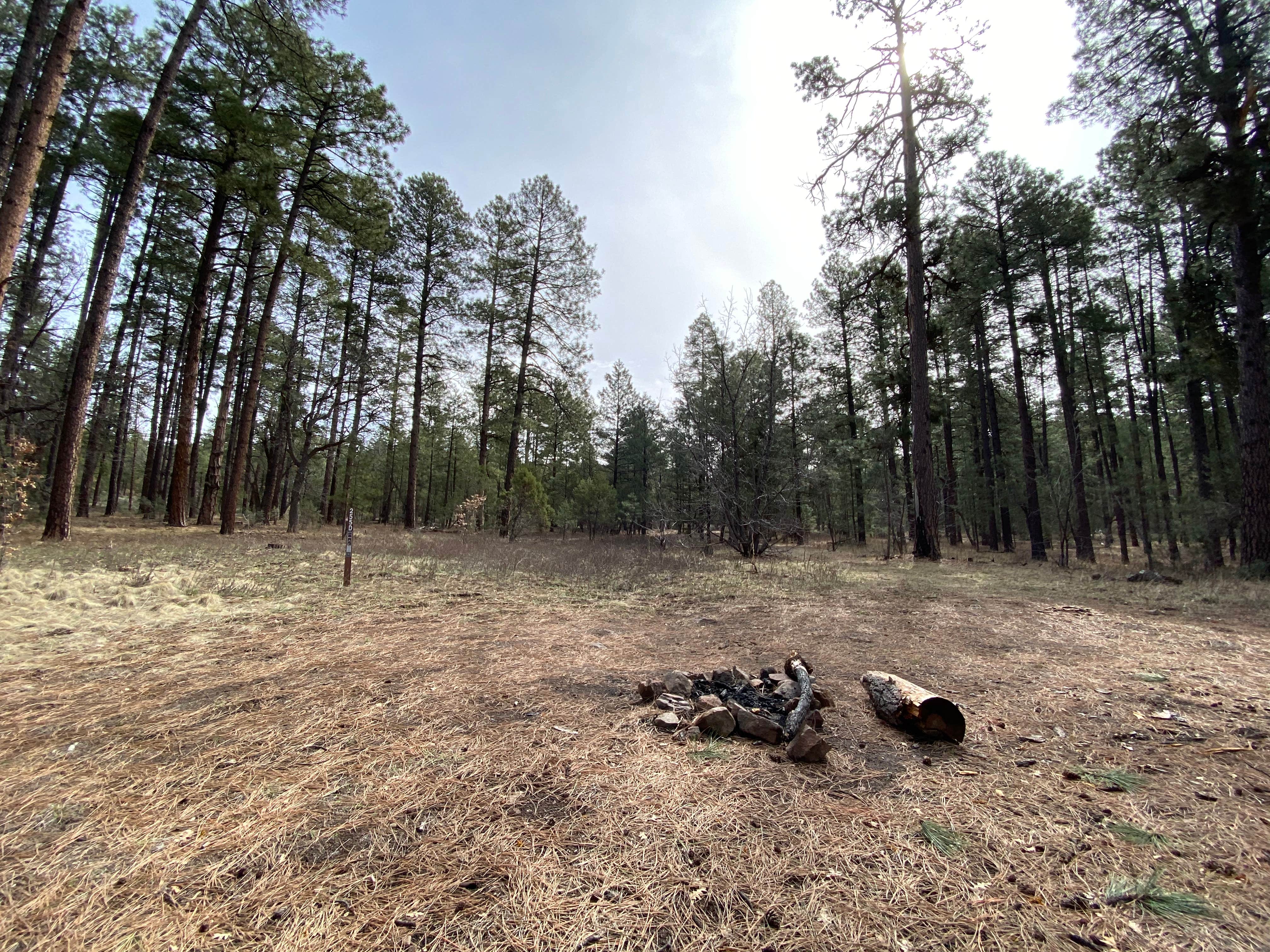 Camper-submitted photo at Sapillo Dispersed Camping Area near Arenas Valley, NM