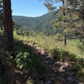 Review photo of Lincoln National Forest Slide Group Campground by steve , June 17, 2026