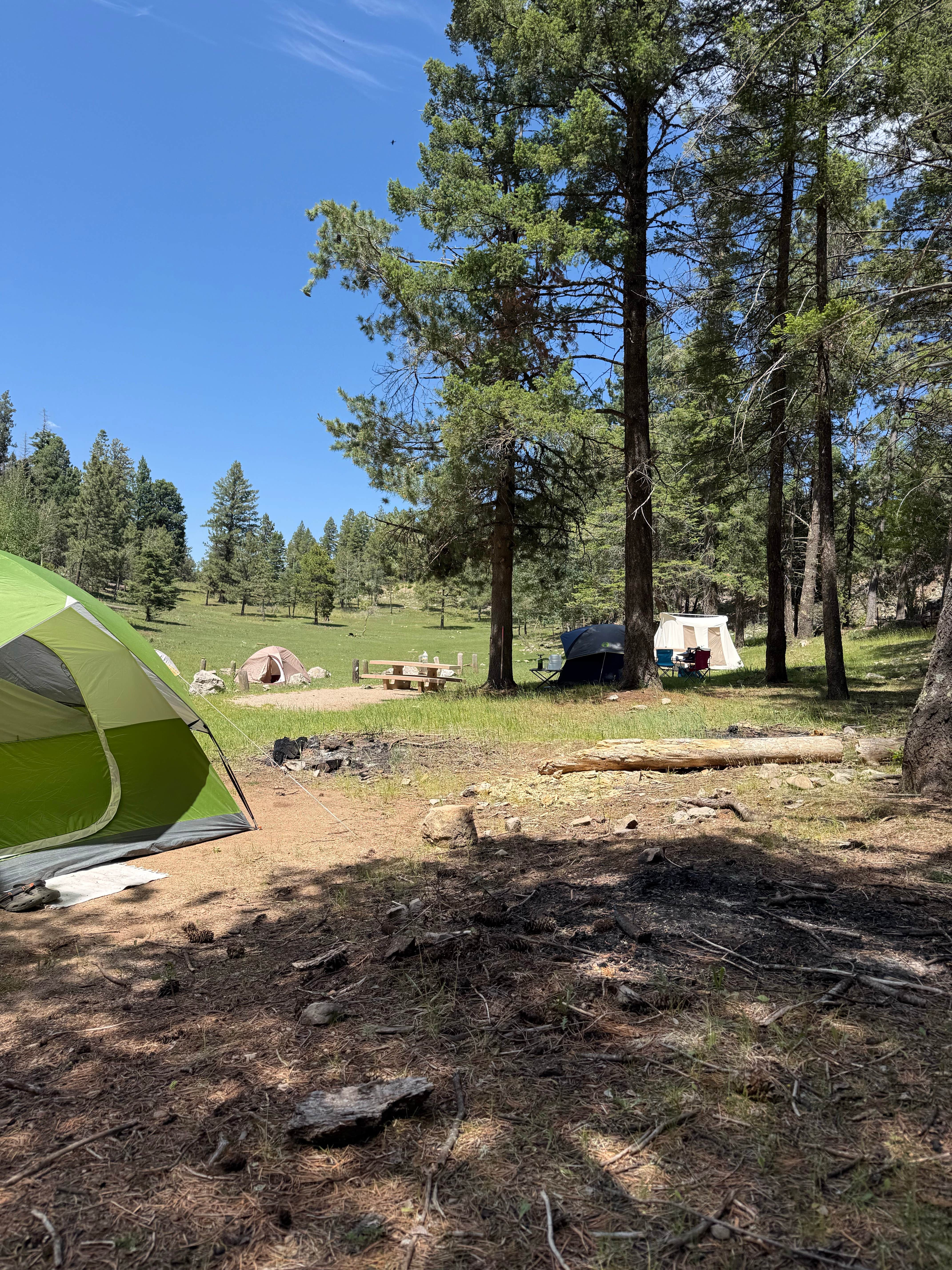 steve's photo of tent camping at Lincoln National Forest Slide Group Campground near Bent, NM