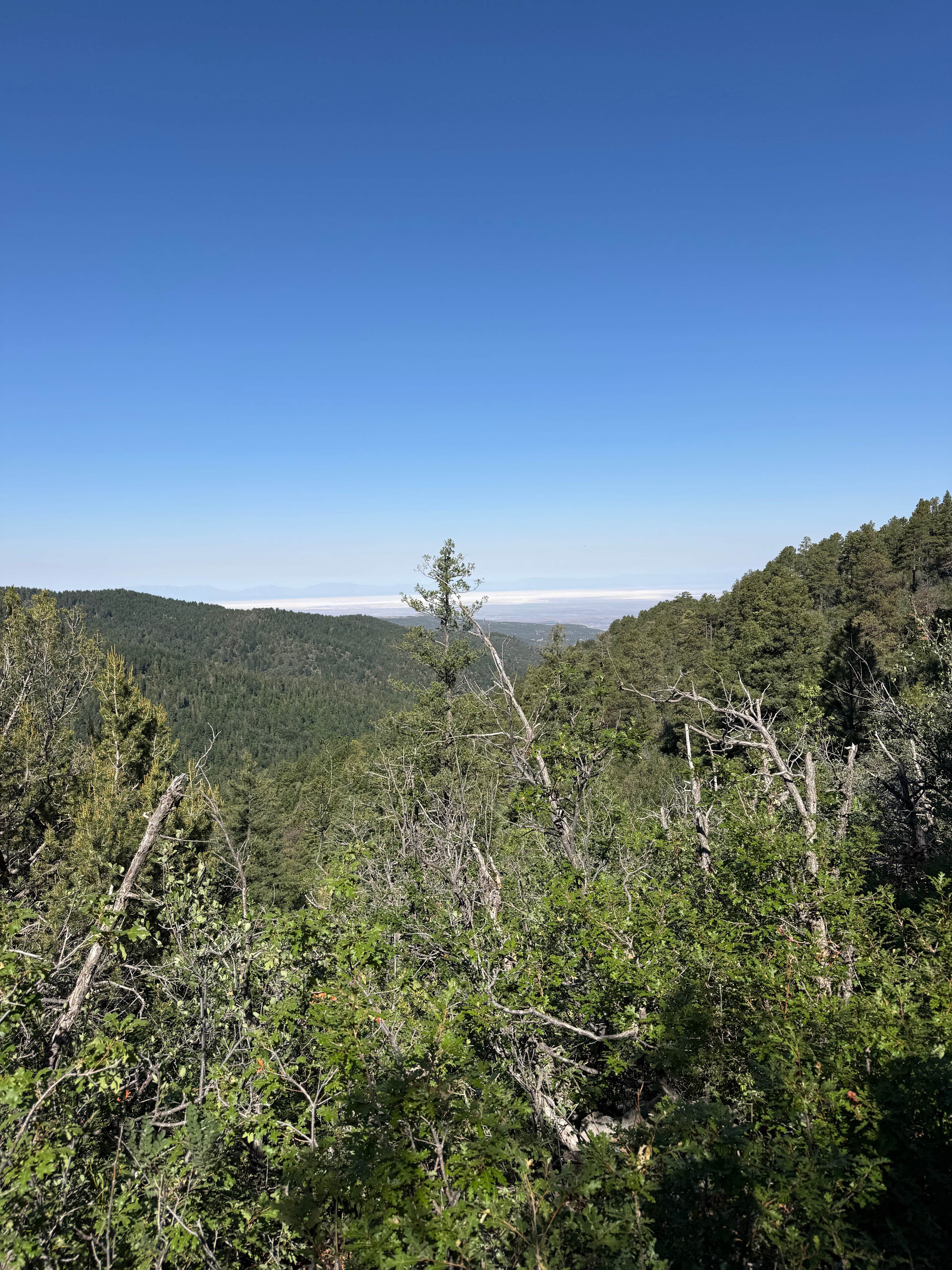 Camping near Aspen Group Only Campground: Lincoln National Forest Slide Group Campground, Cloudcroft, New Mexico