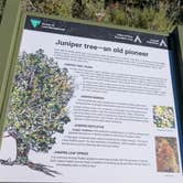 Review photo of Valley Of Fires Recreation Area by Colleen P., November 8, 2025