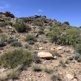Review photo of Valley Of Fires Recreation Area by Rob S., April 4, 2026