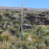 Review photo of Valley Of Fires Recreation Area by Colleen P., November 8, 2025