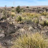 Review photo of Valley Of Fires Recreation Area by Roger W., May 4, 2024