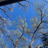 Review photo of Villanueva State Park Campground by Ursula , March 15, 2026