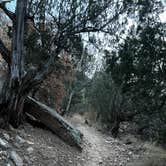 Review photo of Villanueva State Park Campground by Renee V., January 29, 2026