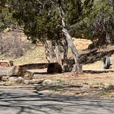 Review photo of Villanueva State Park Campground by James P., April 7, 2024