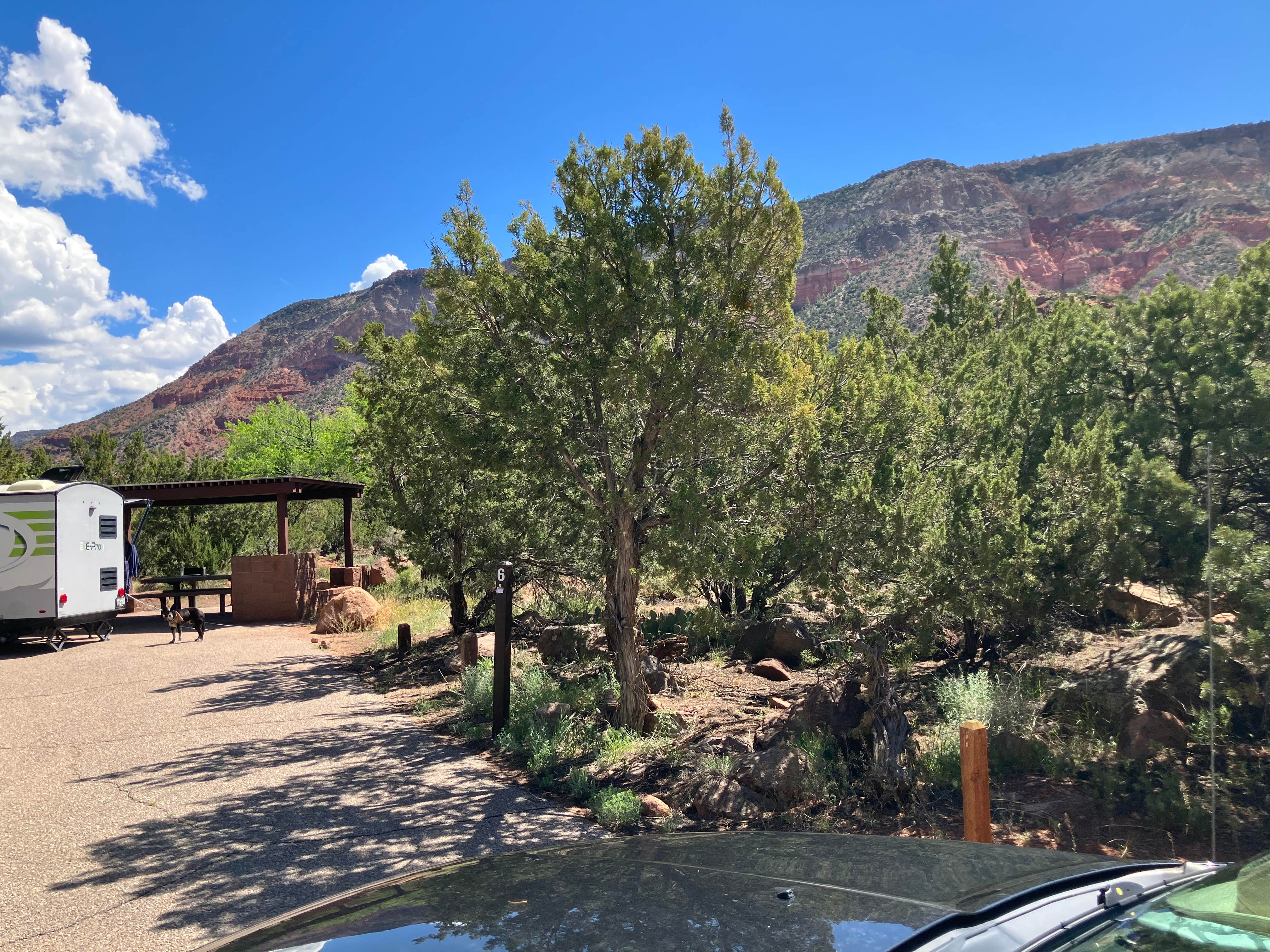 Roger W.'s photo of camping with pets at Vista Linda Campground — Santa Fe National Forest near Jemez Springs, NM