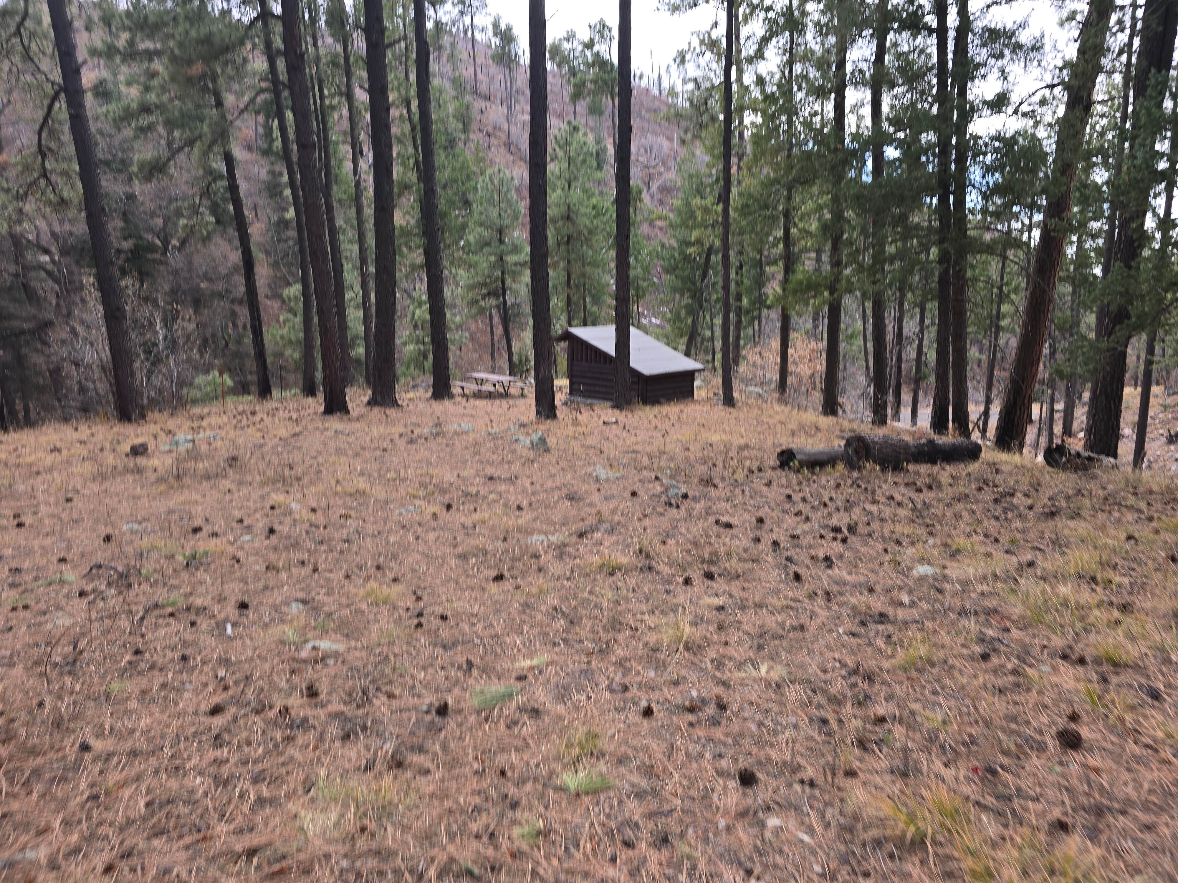 Camping near Cibola National Forest Luna Park Campground: Wrights Cabin Picnic Area, Mimbres, New Mexico