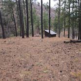 Review photo of Wrights Cabin by Teresa T., November 29, 2024