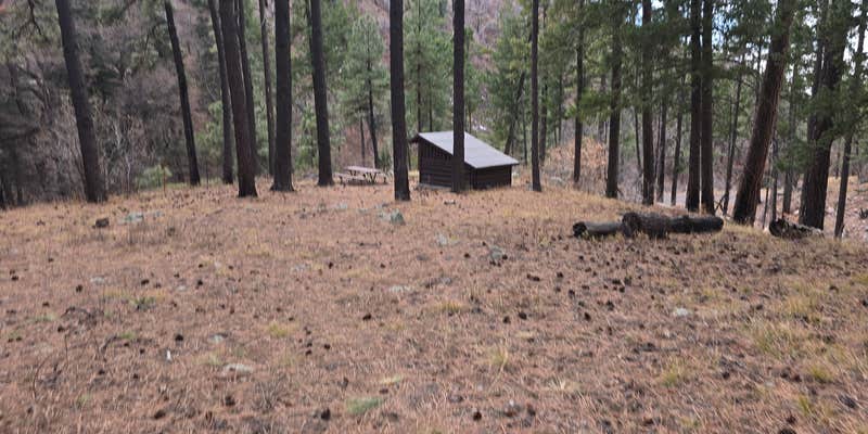 Camper submitted image from Wrights Cabin Picnic Area