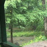 Review photo of Quaker Area — Allegany State Park State Park by Brian B., October 12, 2025