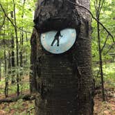 Review photo of Quaker Area — Allegany State Park State Park by Brian B., October 12, 2025