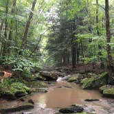 Review photo of Quaker Area — Allegany State Park State Park by Brian B., October 12, 2025