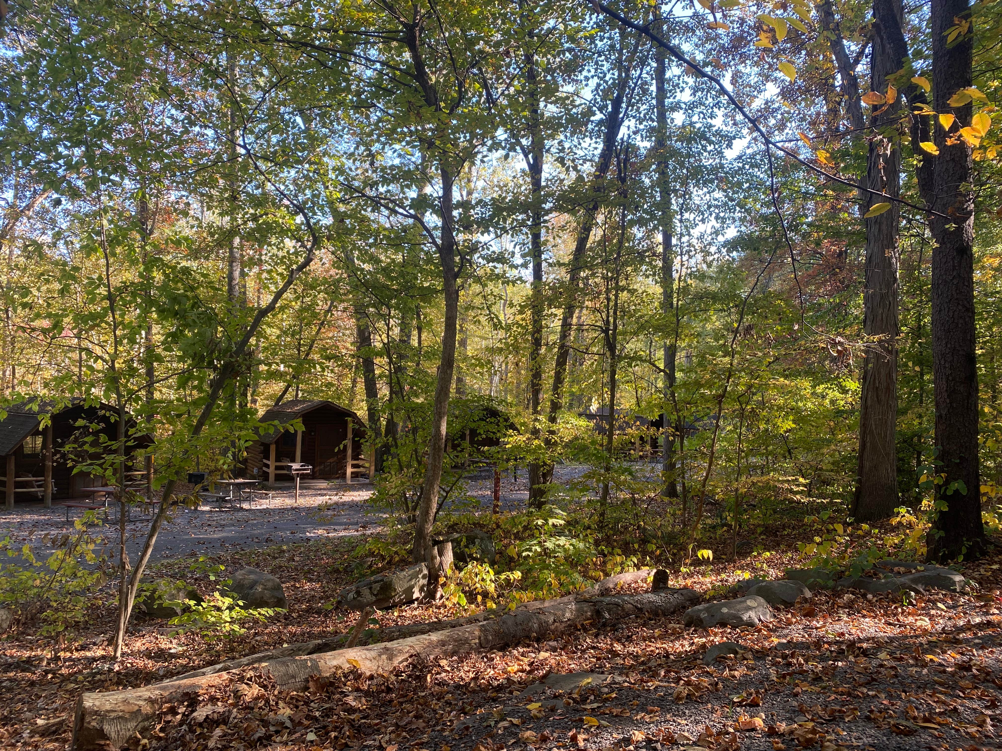 Chelsea B.'s photo of glamping accommodations at New York City North-Newburgh KOA near Kingston, NY