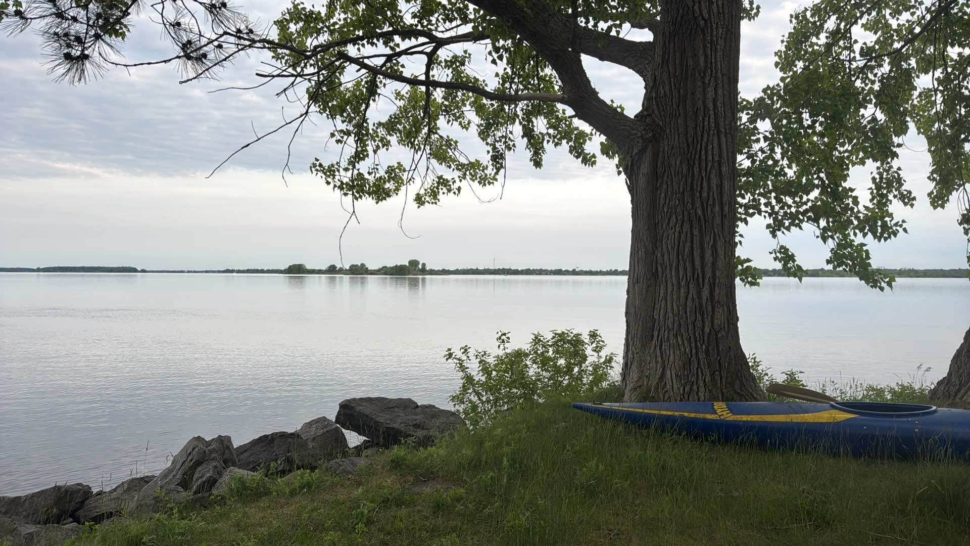 Camper submitted image from Coles Creek State Park Campground - 3