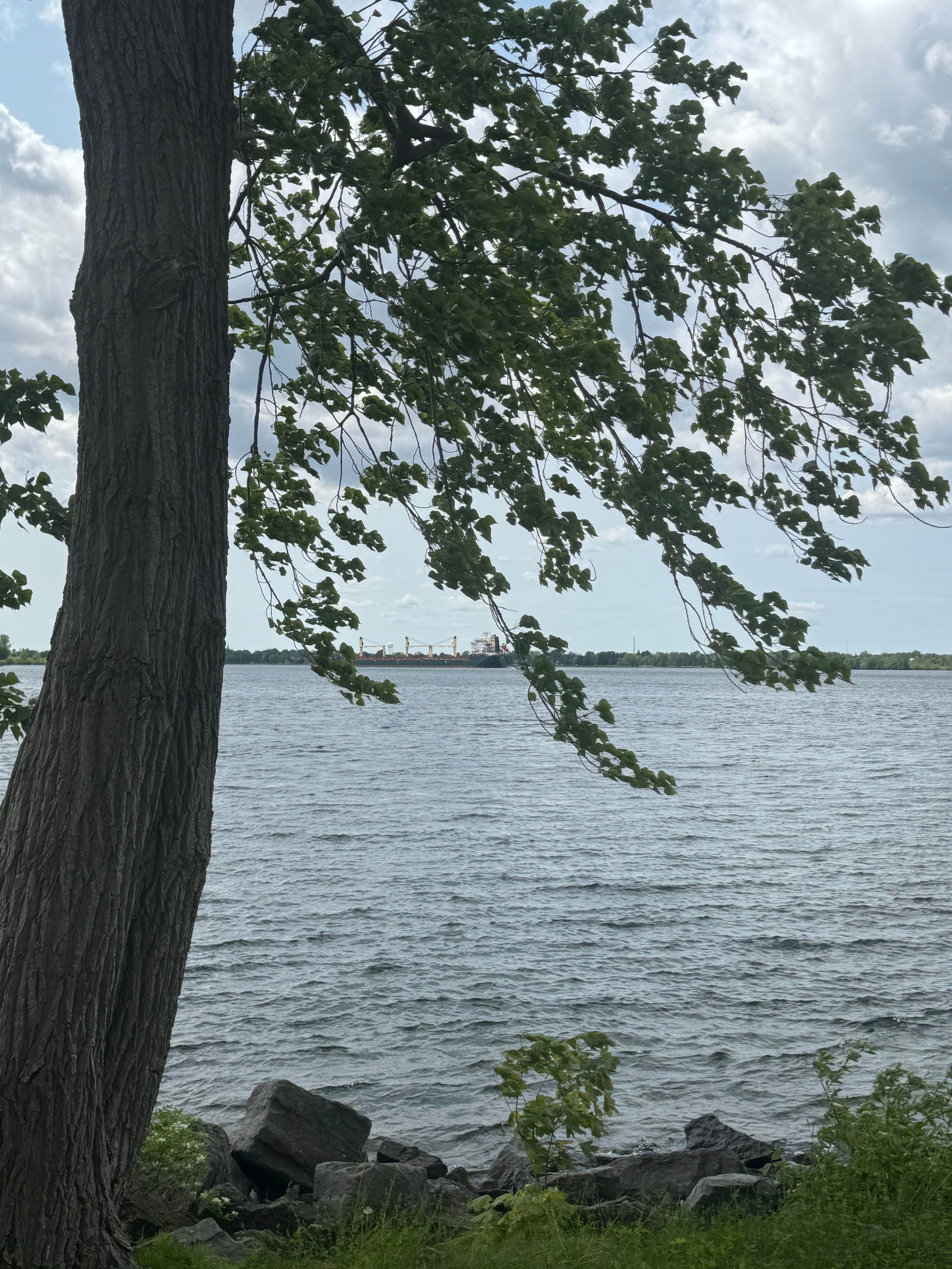 Camper-submitted photo at Coles Creek State Park Campground near Massena, NY