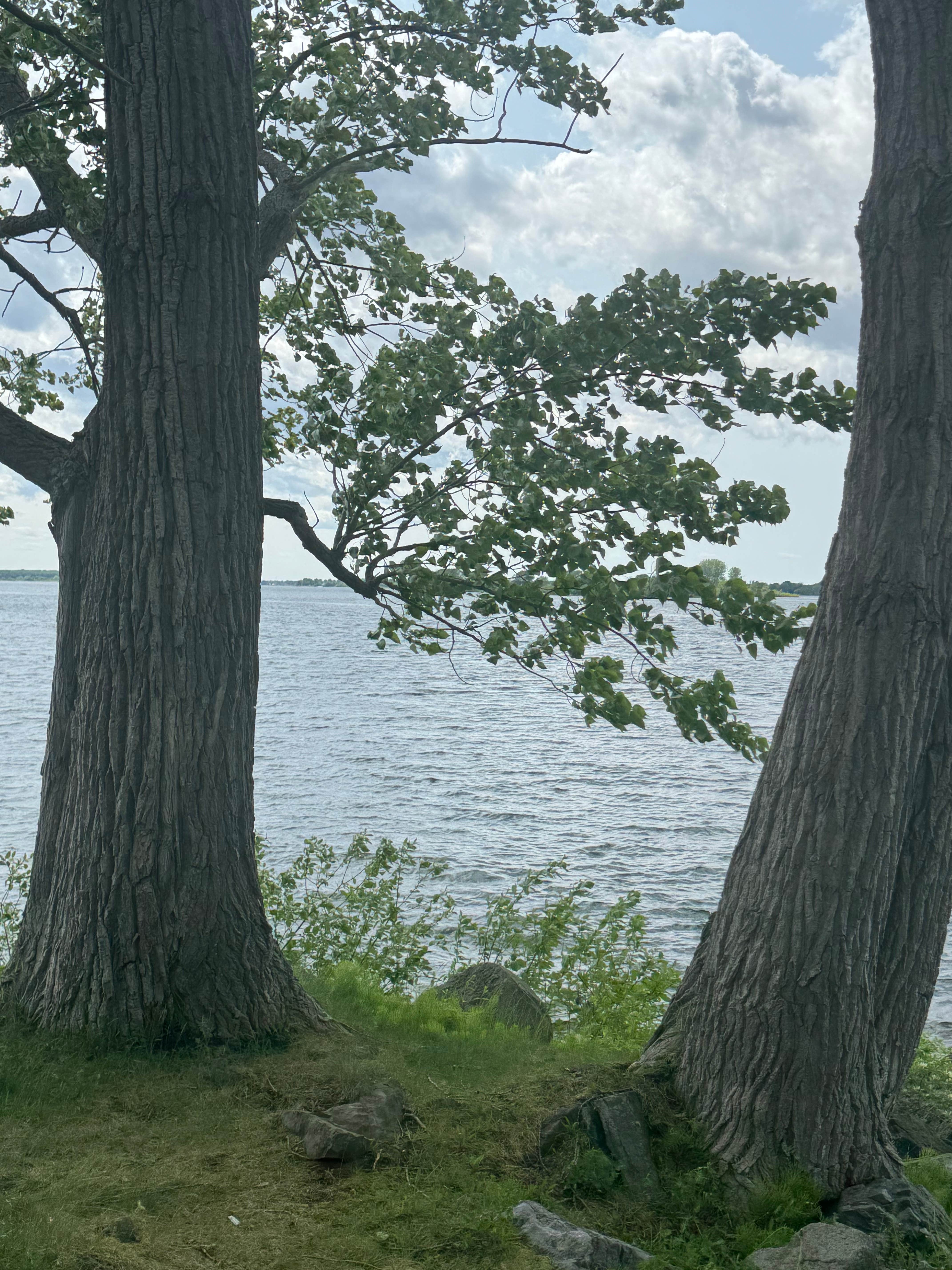 Camper-submitted photo at Coles Creek State Park Campground near Massena, NY