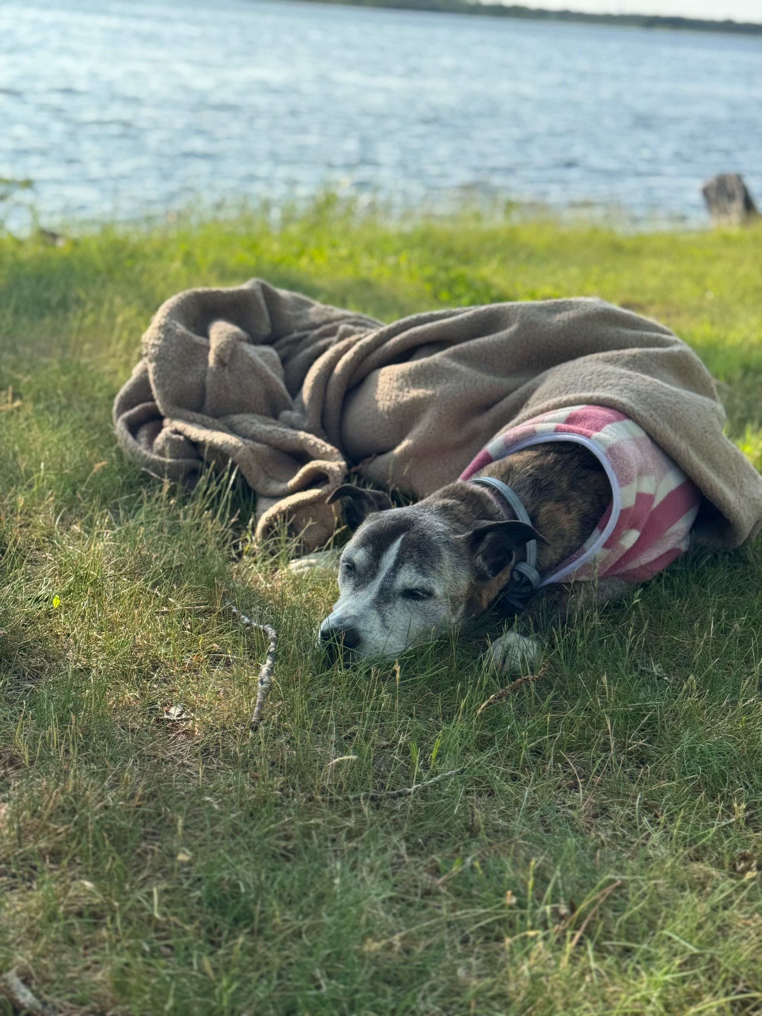 Camper-submitted photo at Coles Creek State Park Campground near Massena, NY