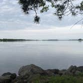 Review photo of Coles Creek State Park Campground by Tami W., June 3, 2025