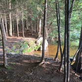 Review photo of Cranberry Lake Campground by Janet R., December 31, 2025