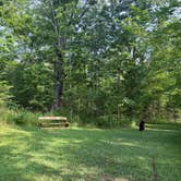 Review photo of Darien Lakes State Park Campground by susan F., July 26, 2026