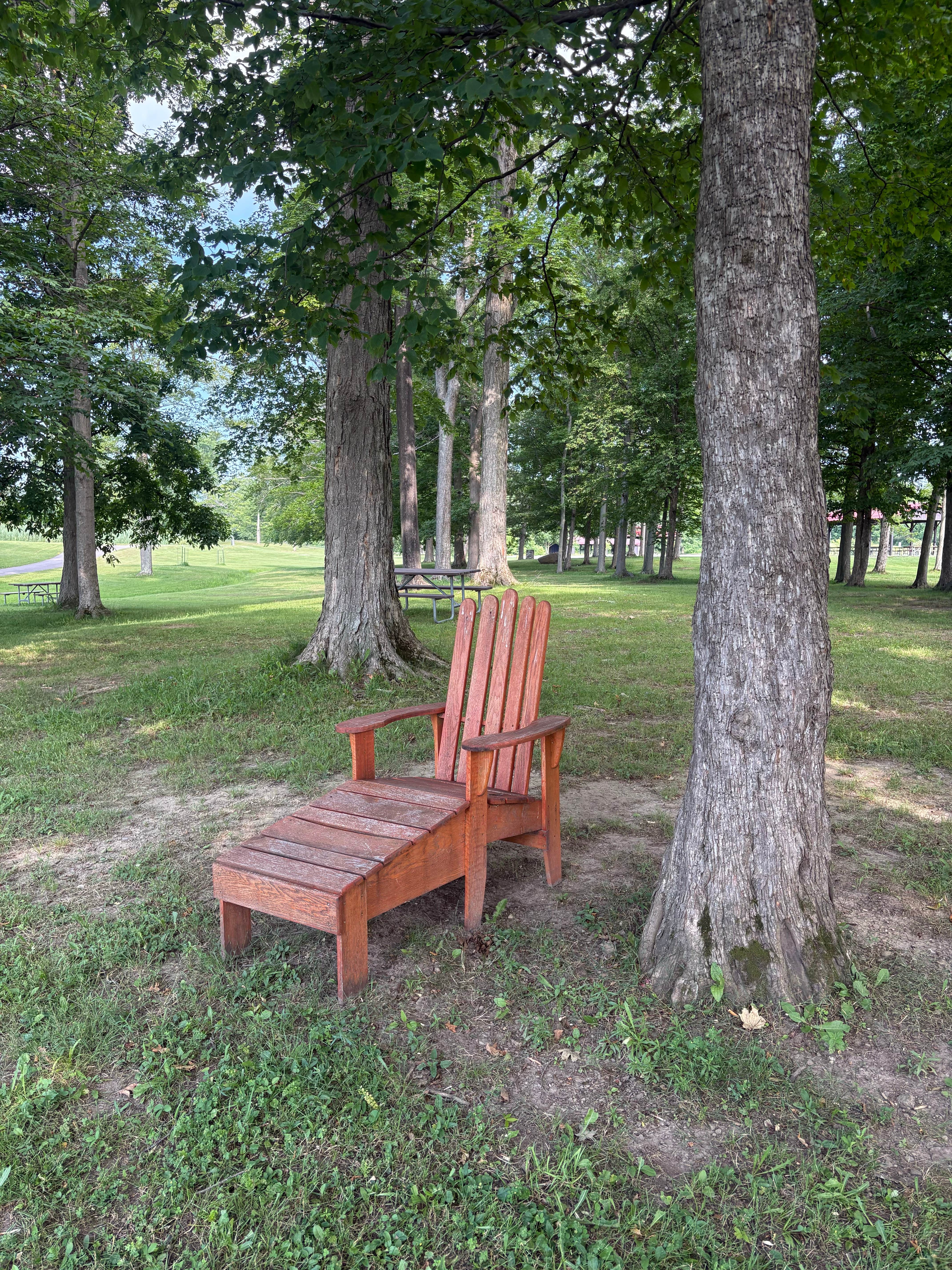 Camper-submitted photo at Darien Lakes State Park Campground near Java Center, NY