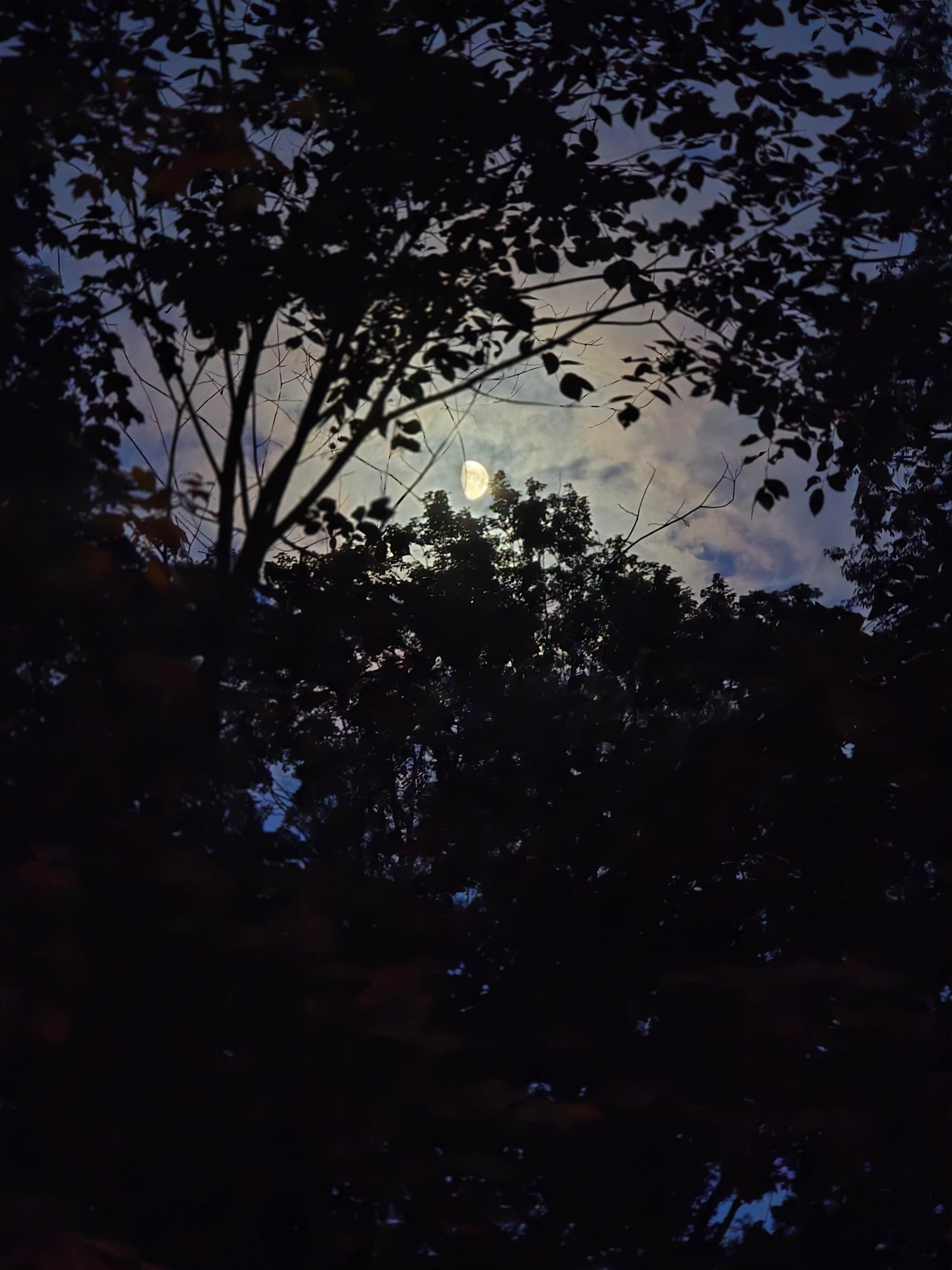 Camper-submitted photo at Delta Lake State Park Campground near Poland, NY