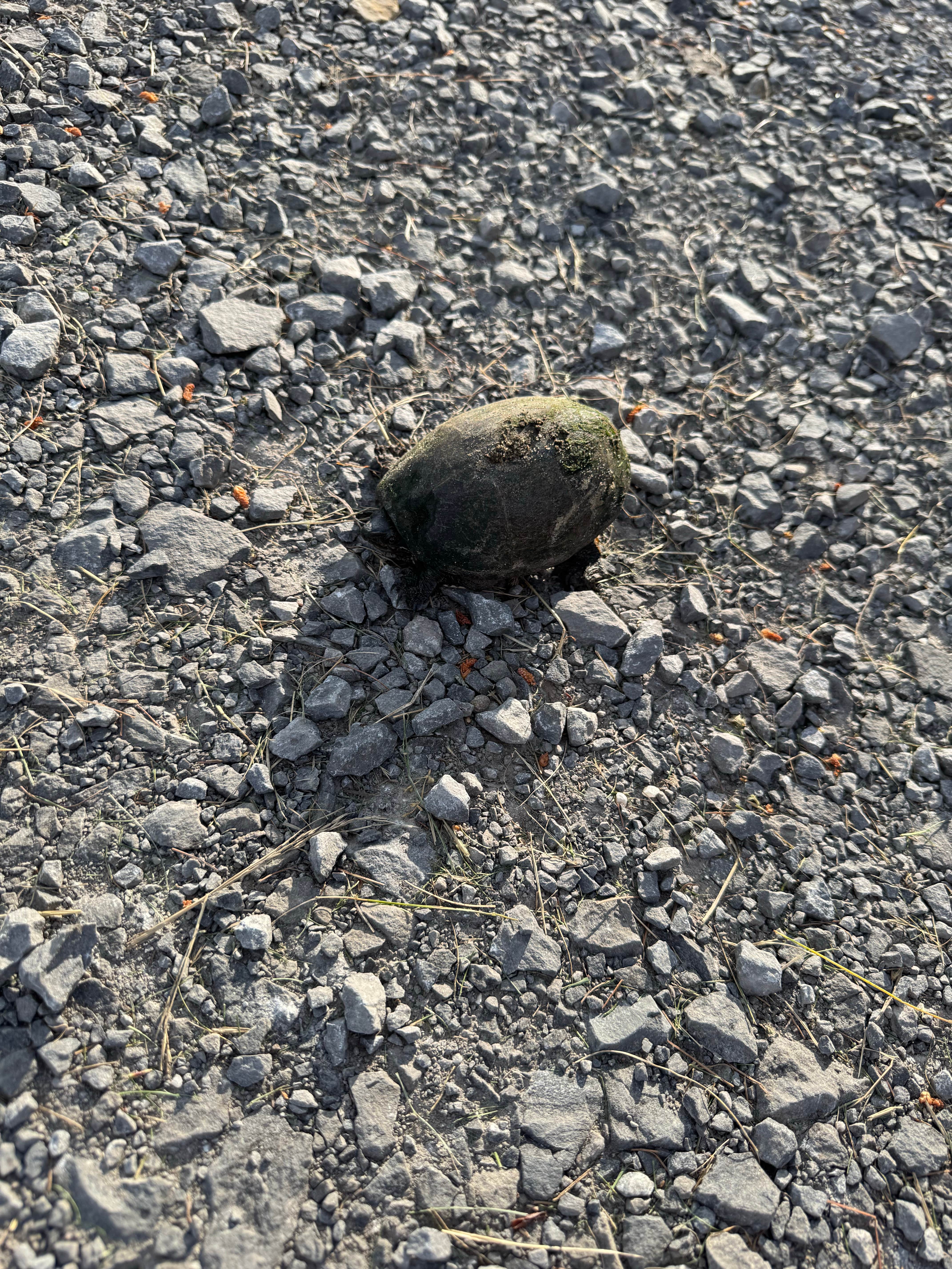 Camper submitted image from Eel Weir State Park Campground - 5