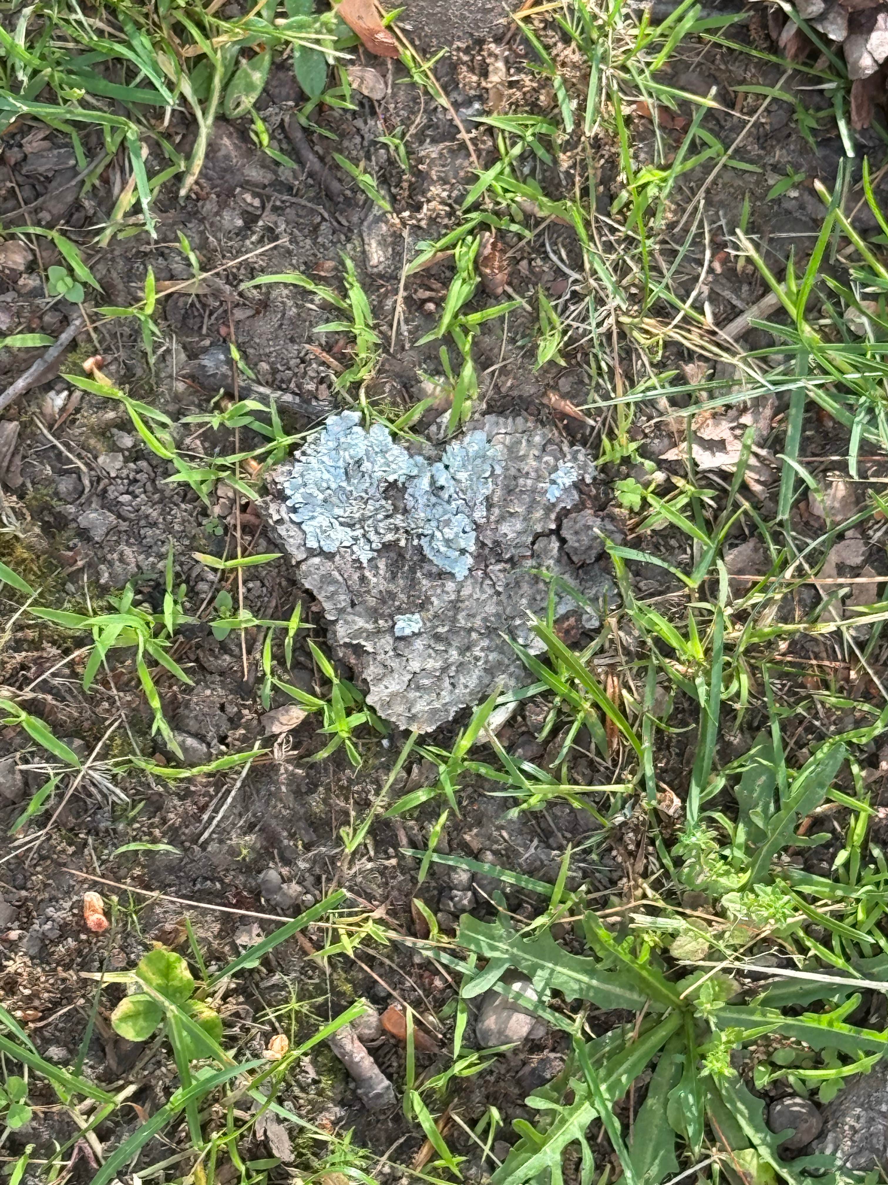 Camper-submitted photo at Eel Weir State Park Campground near Gouverneur, NY