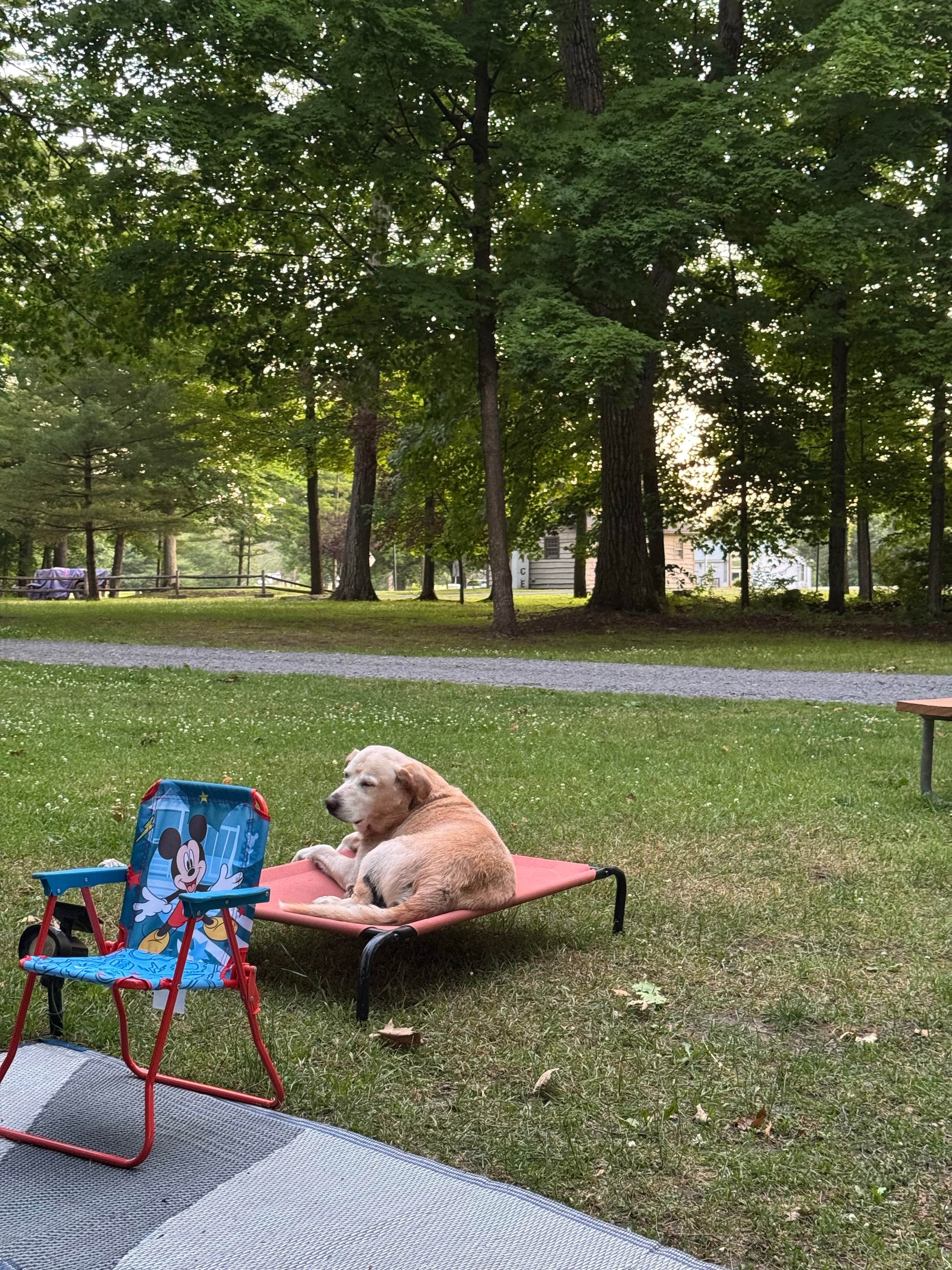 Camper submitted image from Eel Weir State Park Campground - 4
