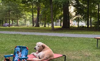 Tiffany H.'s photo of camping with pets at Eel Weir State Park Campground near Clayton, NY