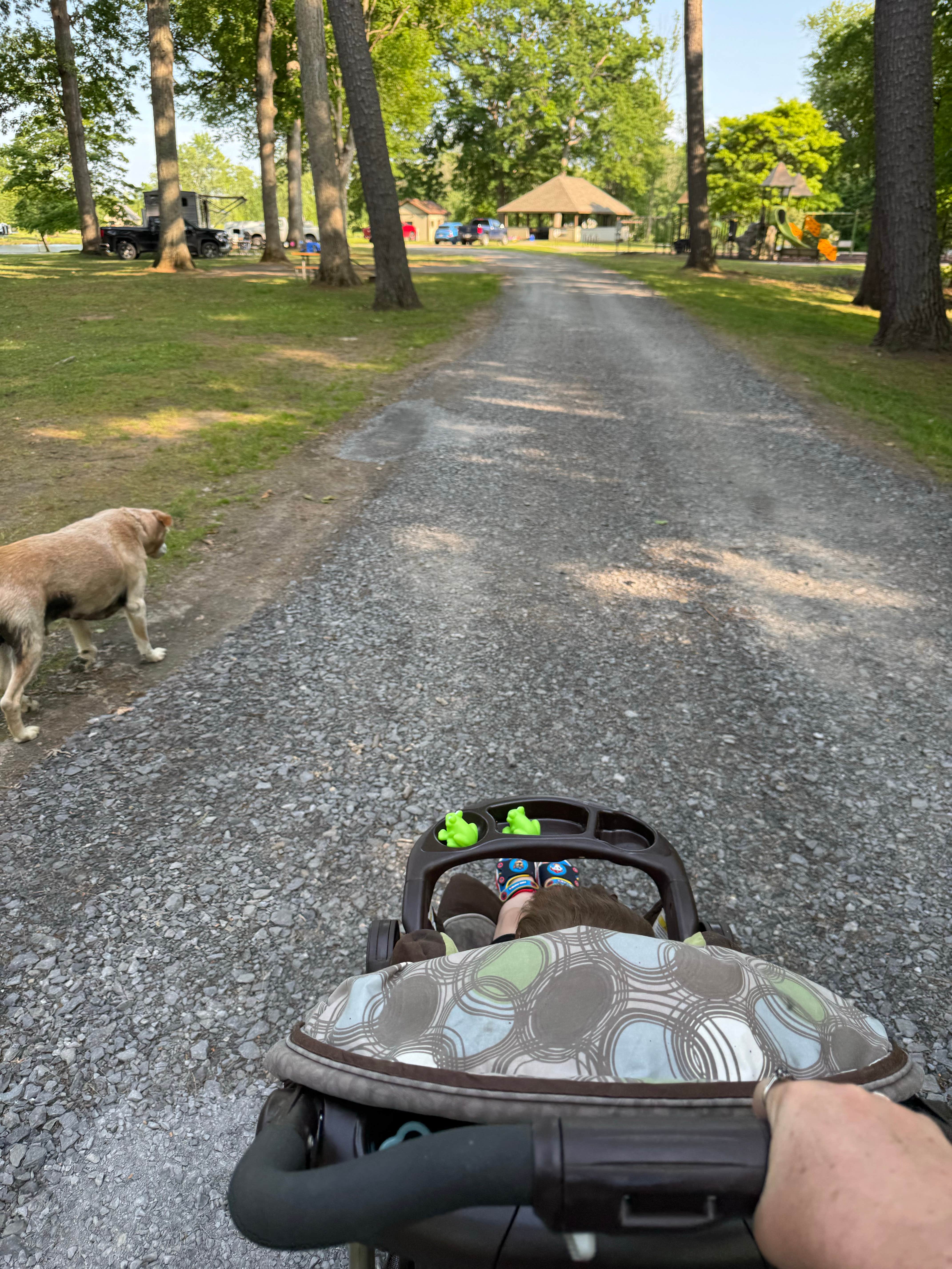 Tiffany H.'s photo of camping with pets at Eel Weir State Park Campground near Ogdensburg, NY
