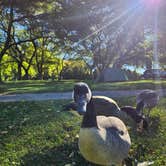 Review photo of Four Mile Creek State Park Campground by Josh K., October 6, 2026