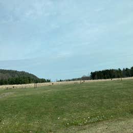 Glimmerglass State Park