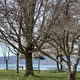 Review photo of Glimmerglass State Park Campground by Janet R., June 11, 2024