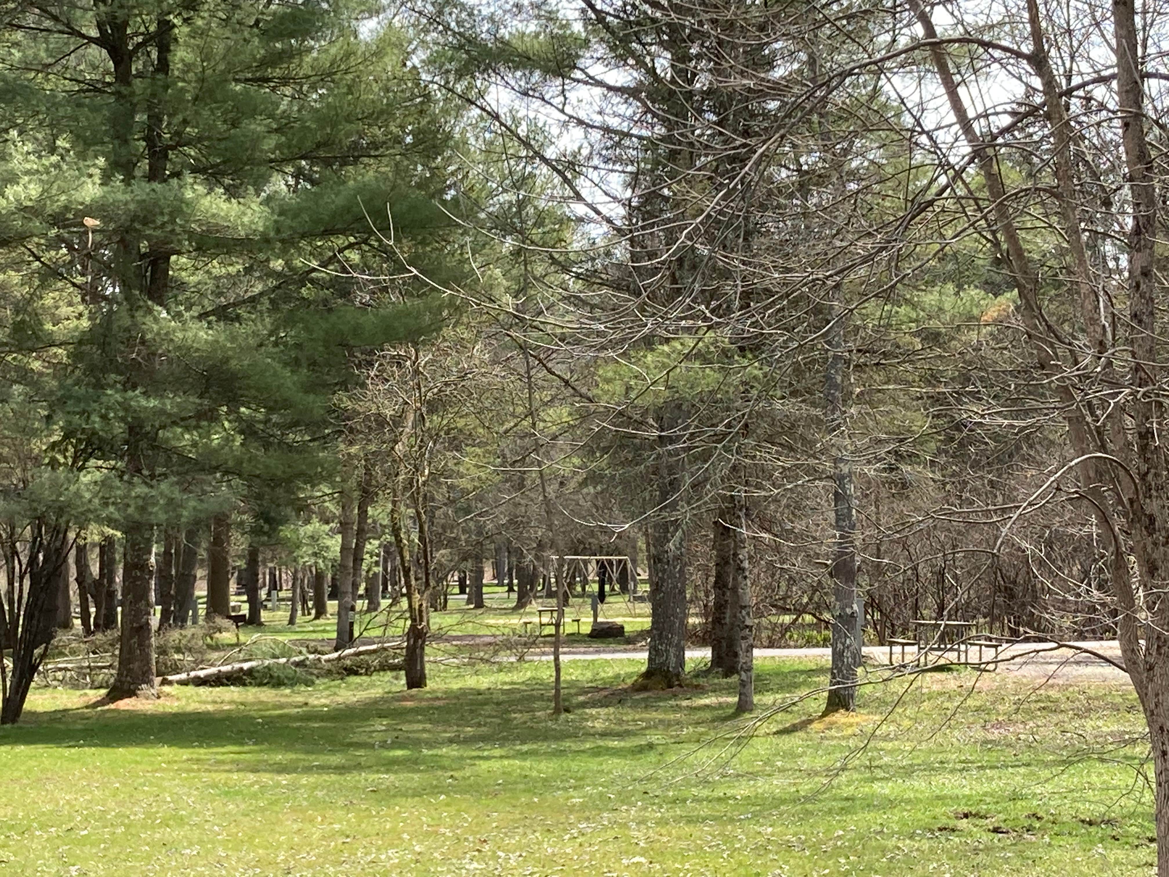 Camper-submitted photo at Glimmerglass State Park Campground near Fort Plain, NY